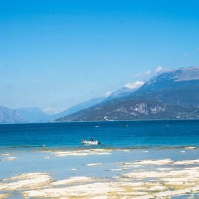 万博体育官方版下载